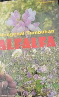 Image of Mengenal Tumbuhan Alfalfa